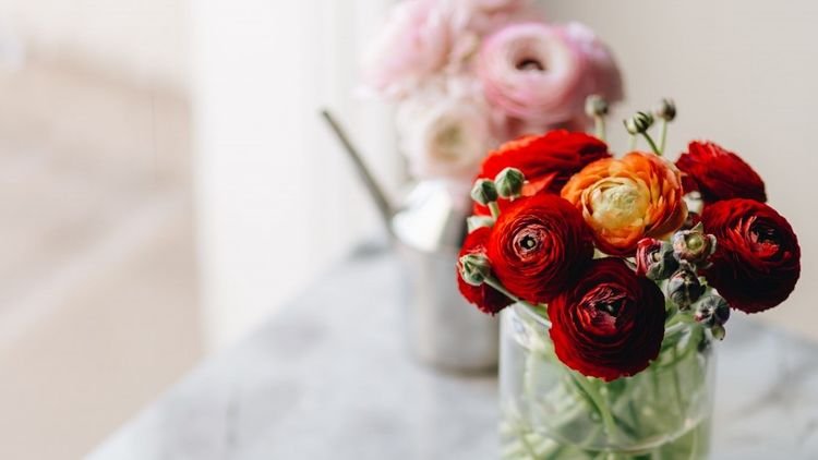 生肖|8月财运滚滚，金库满满，财运高好运连连的4大生肖