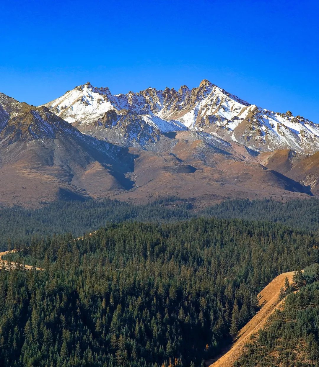 『云计算』又一风口来了一一数据中心