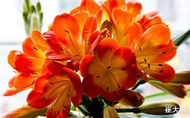 运势|7月下旬，4大生肖运势大红大紫，财运连旺，好运不断！