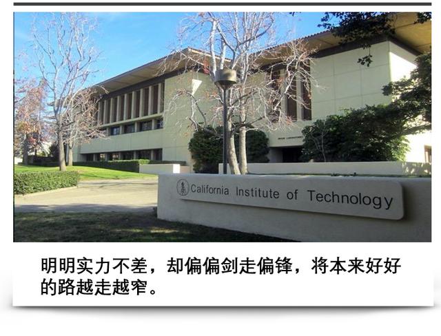 清华大学▲震惊学术圈：冒充北大身份、被清华取保的学生，竟摇身拿到加理工offer？