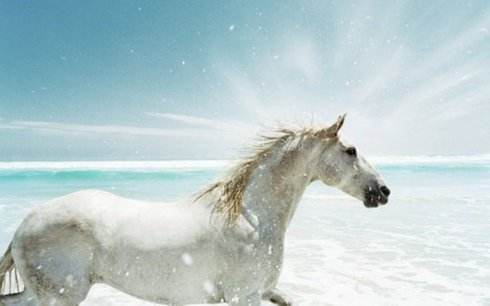 「净利润」A股最具价值的白马股名单（绝对值得收藏）