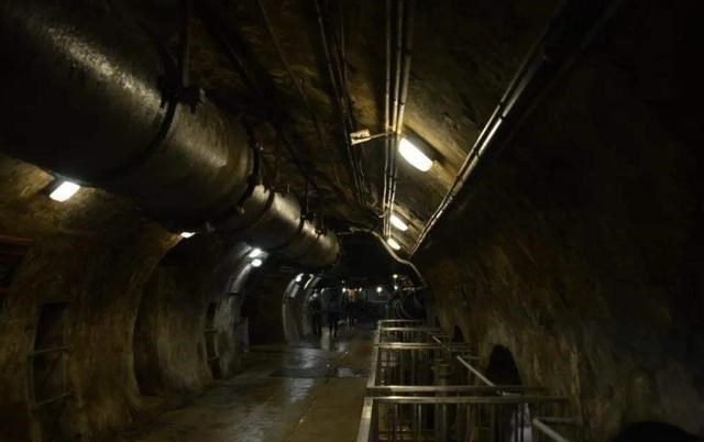 木乃伊|全球最另类博物馆，收藏寄生虫，粪便都不算啥，最后两个太残忍