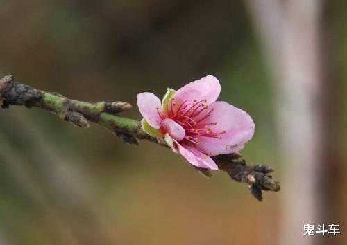 「宝马」什么情况？ 上汽大众途昂X降5万 奔驰AMG GLC却涨价2万