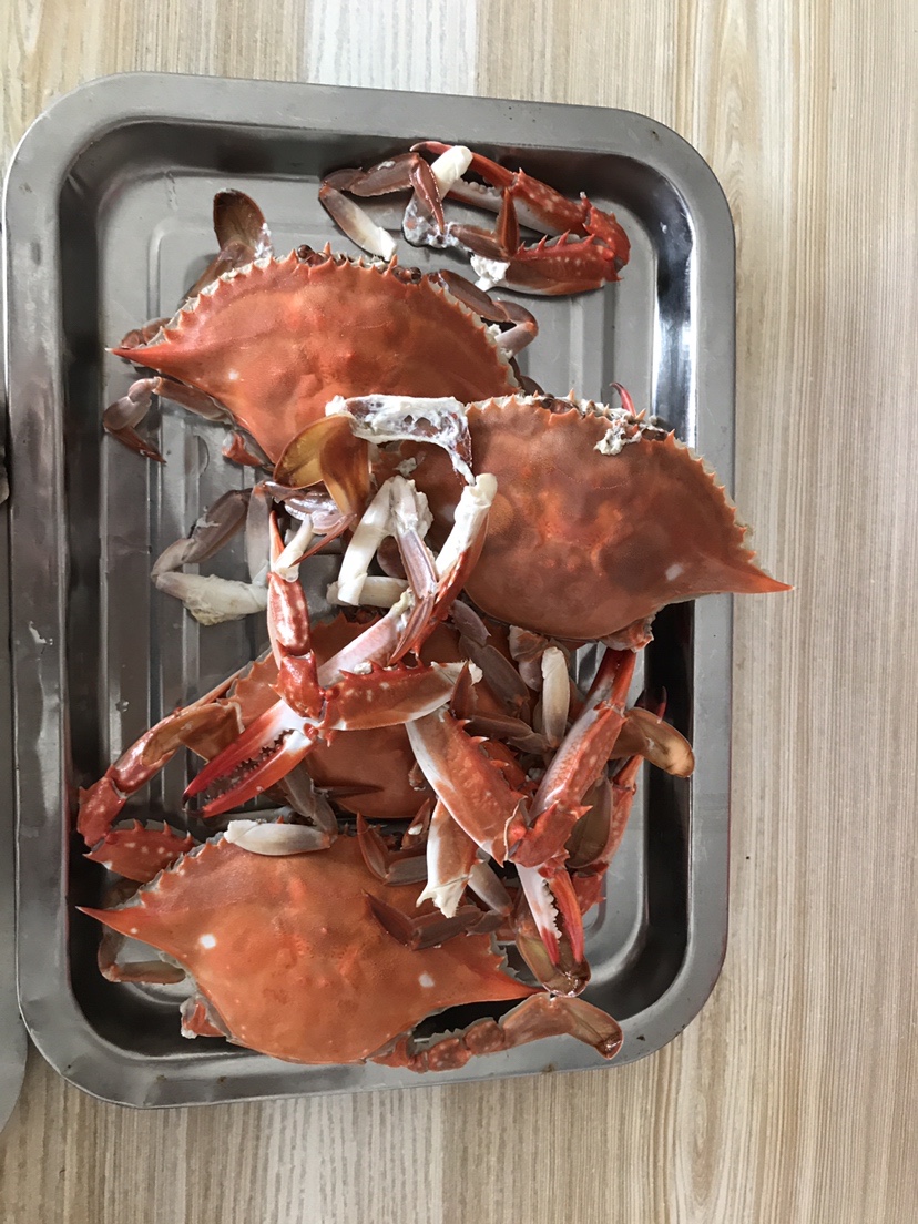 |海边作钓楞蹦鱼，钓获不知名鱼种，放流归家