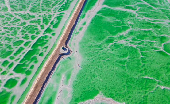 玉龙雪山|当中国大西北突然流出这批照片后，满世界的人开始坐不住了