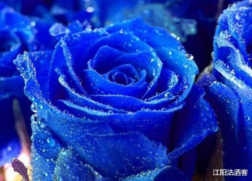 #生肖#6月28号苦尽甘来，生意兴隆，赚钱不发愁的3生肖，前途大好