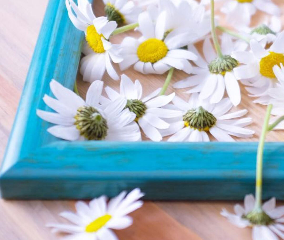 狮子座：六月中旬，积极努力，特别的上进，三星座真爱驾到，挥散阴霾