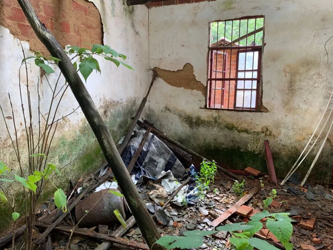 ＂原＂剥洋葱people|被羁押9778天后，张玉环无罪释放