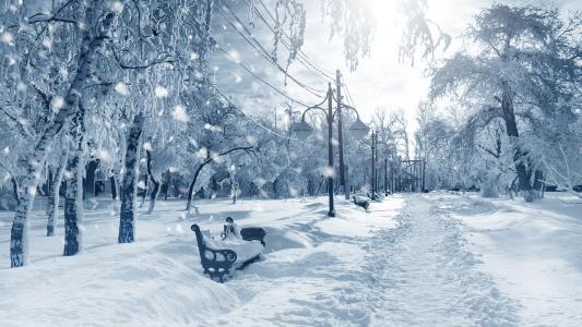 生肖■5月上旬财运最旺，事业步步高升，升职加薪，幸福美满的生肖