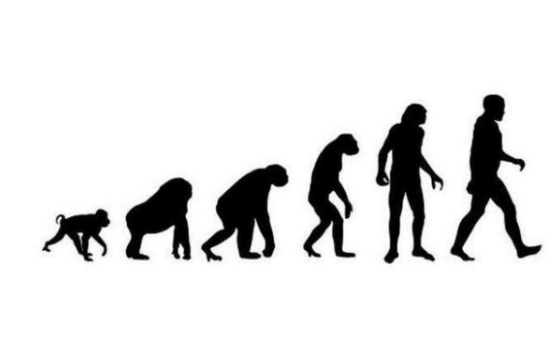 遗迹|揭秘！人类在进化过程中褪去大部分毛发，为啥保留重要部位毛发？