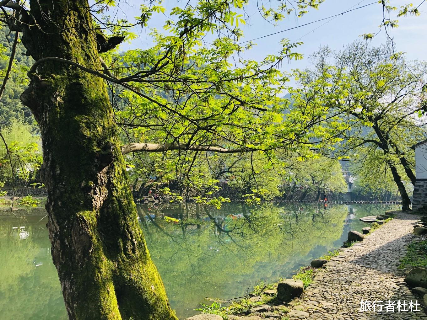 宁波■最美的人间凡仙境江南水乡古村，如今却变得面目全非，究竟怎么了