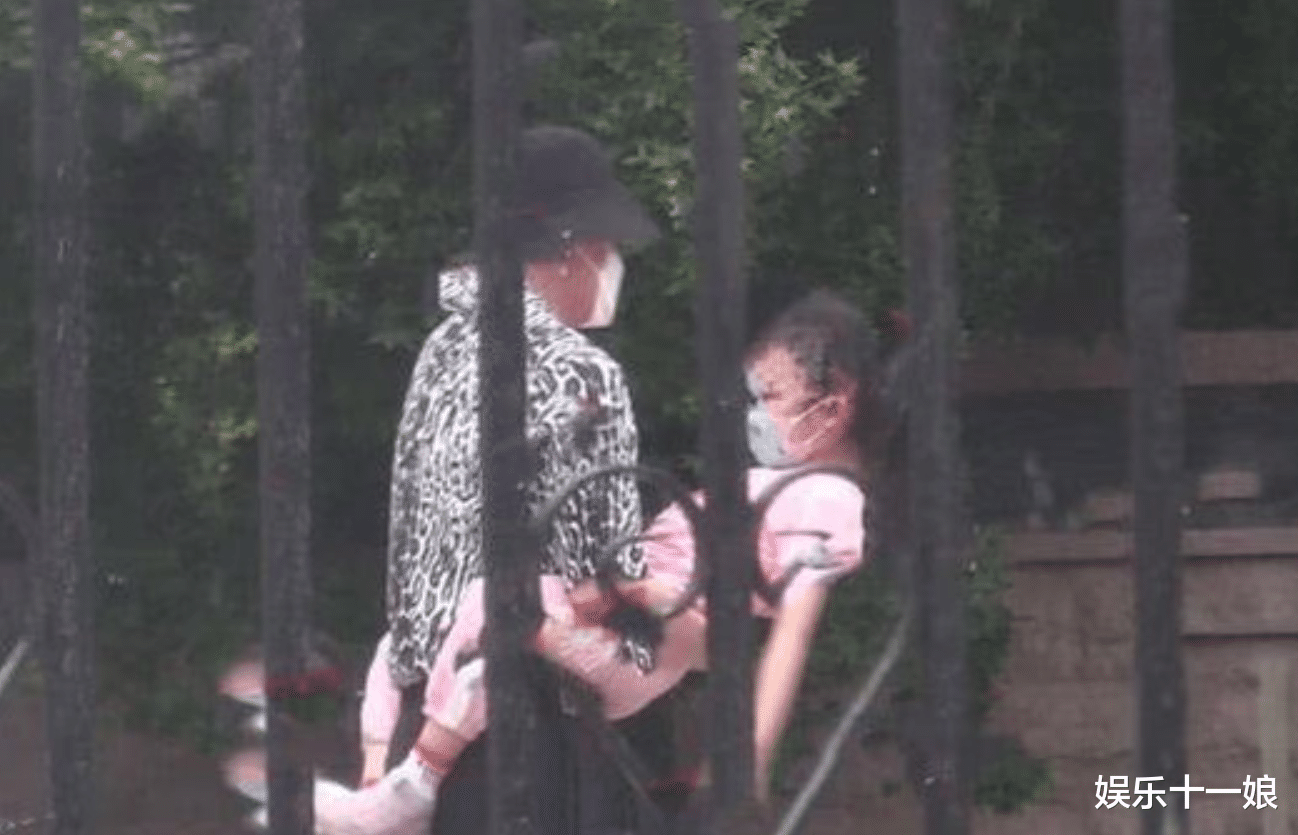 贾乃亮|贾乃亮李小璐被曝复合！恋爱再添“证据”？这次连视频都出来了！