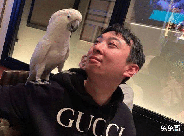 王思聪|amy姐偷偷清空社交账号，公司经营范围曝光，已列入异常