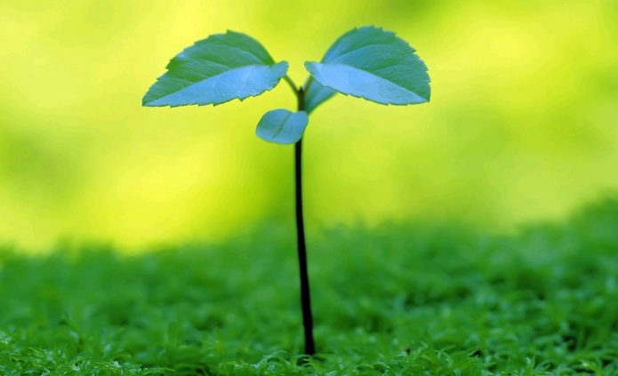 『』7天内工作畅通无阻，喜鹊报喜，财旺福旺，万事不求人的属相