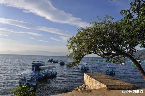 只有敬畏和责任，才能带来诗和远方