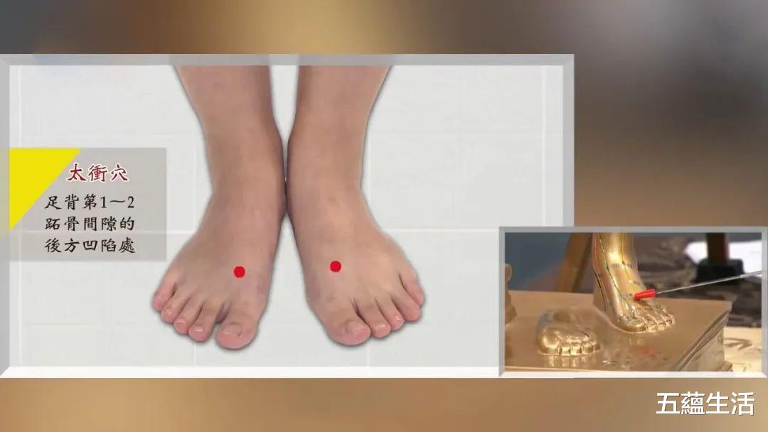 『痛风』春不养肝夏易病，做三件事喝一碗汤，疏肝利胆，从此不做肝苦人！