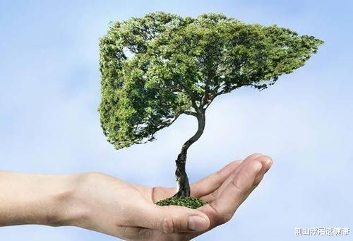 #肝脏#肝病进展分阶段！这6个异常表现，预示肝病正在恶化，6原则来防治