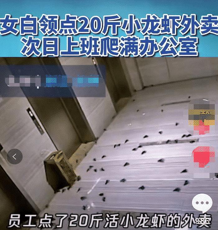 【小龙虾】女白领点20斤活虾下班忘带走，同事看到后惊呼：龙虾跑到办公室啦！