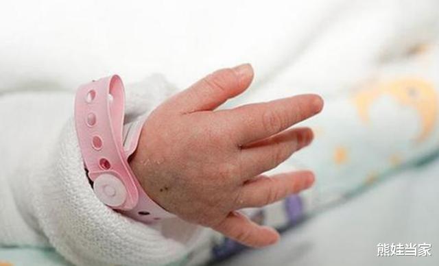 熊娃当家|两对双胞胎被“交叉”抱错，27年后再次相逢，错位人生让人心酸