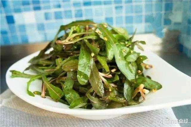 野菜：8成人不知它，一分钱不花，百吃不腻，一顿刮油三天，衣服穿小号