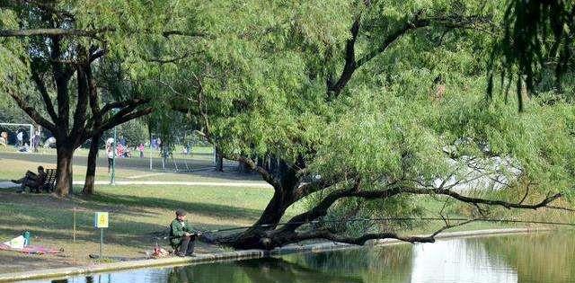 「鲤鱼」夏季鱼儿藏在哪？这9个钓位都是鱼窝，怪不得经常老钓友爆护！