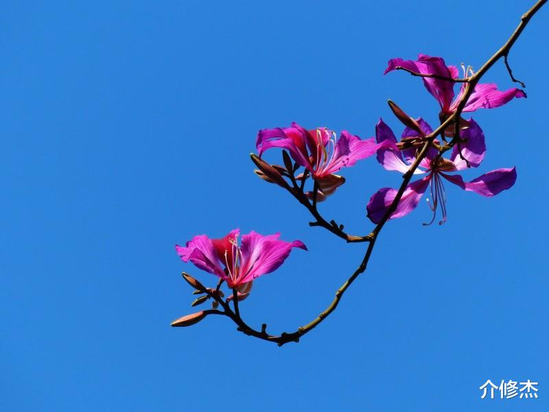 生肖@6月底，异性缘旺，你准备好脱单了吗？有希望遇见命中人的4大生肖