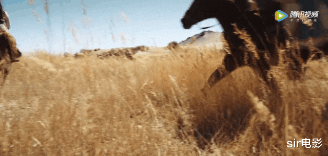 武侠:别催,国产武侠已经翻身