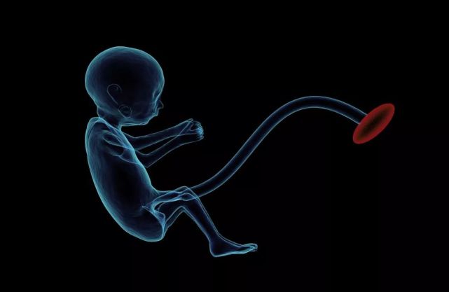 超自然|动物界汉尼拔:同类相食常发生,狠起来自己也吃