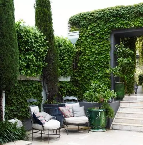 []60款小院子设计，超乎想象的美！