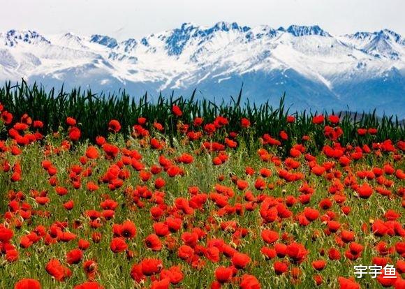 吉星|9月一到，吉星伴身，4属相迎接好运，日子只甜不苦，心想事成