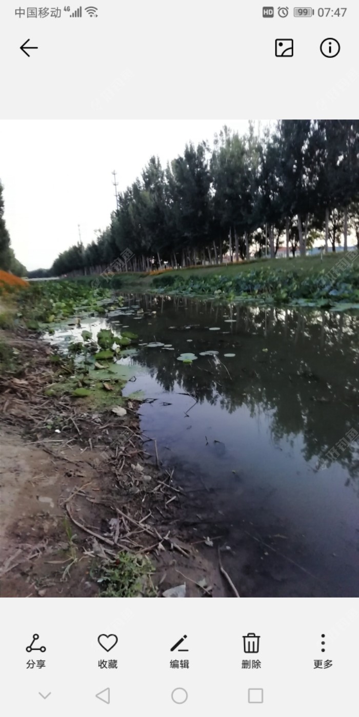 黑鱼|传统钓技巧（2）垂钓大黑