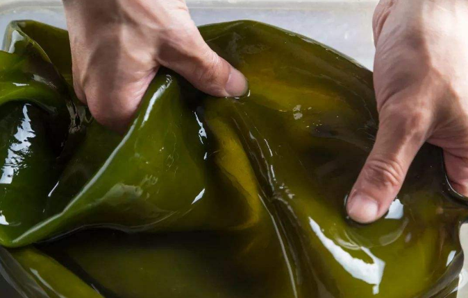 |海钓，与鱼群的邂逅。为了这顿鱼汤差点丢了工作