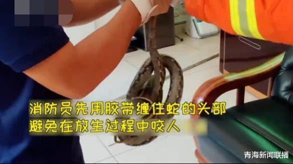 消防员▲男子家中惊现大蛇，打消防电话救助：我家有条大蛇被黏住了快来！