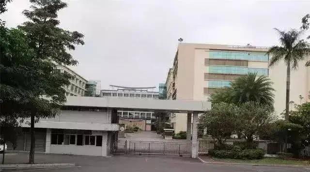 深圳市|深圳某工厂外国订单突然取消老板宣布放假，太突然老板也措手不及
