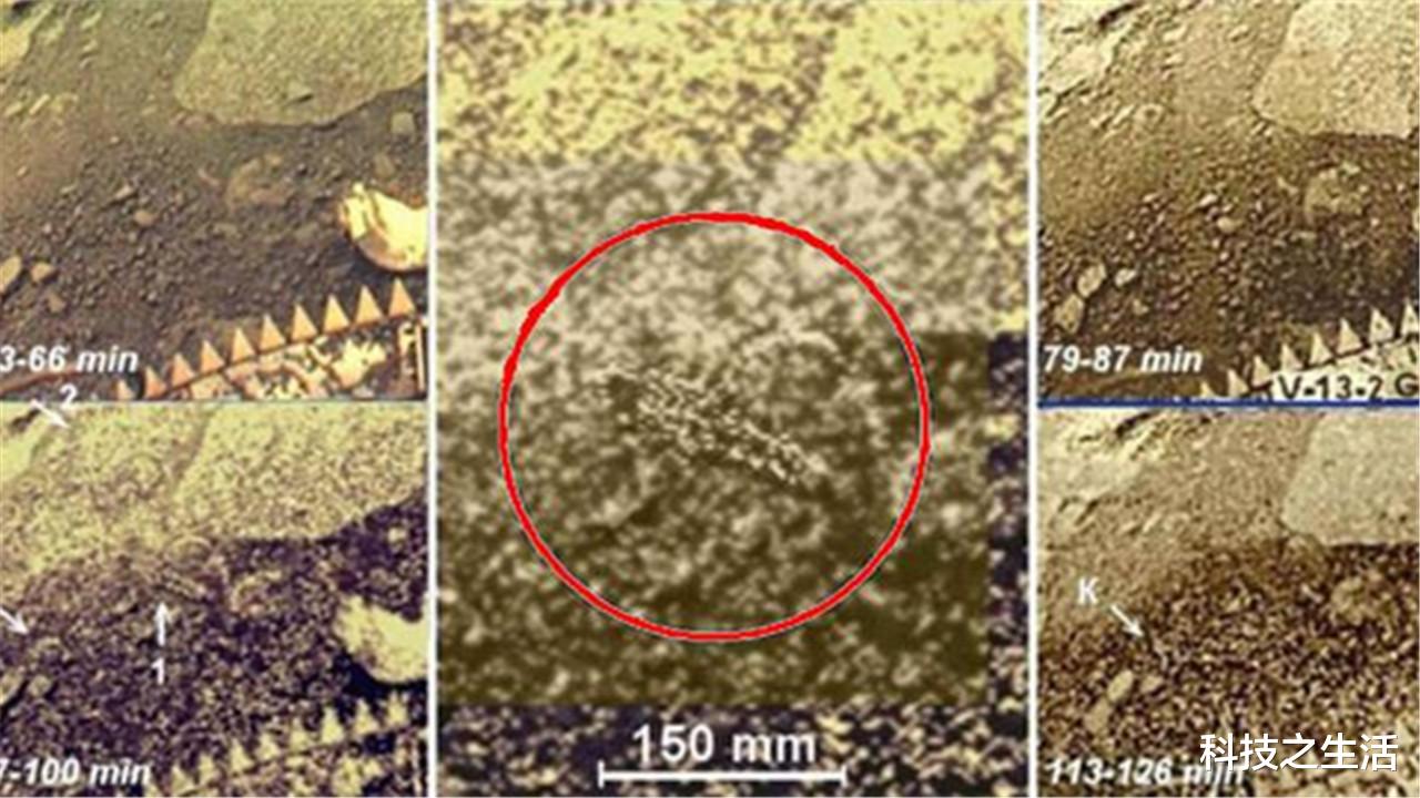 科学家|金星发现“会动的物体”？金星13号传回照片，金星真存在生命？