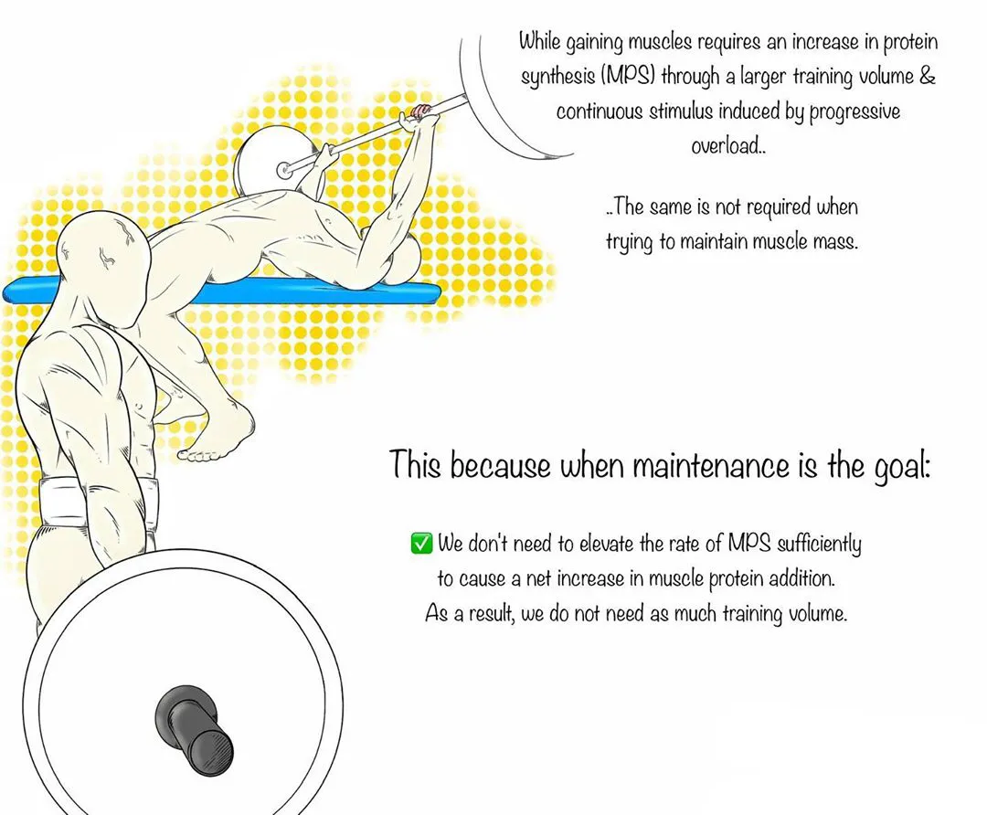 减脂|减这么久了，你怎么还是胖？