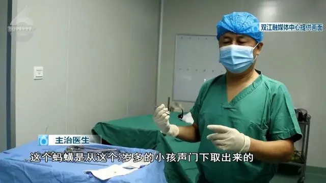 芒果都市|惊悚!5岁男孩气管内发现活体蚂蟥,还存活了一年多!