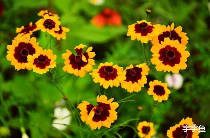 |9月开始事业成就大业，财神偏爱，富贵近身的四大属相