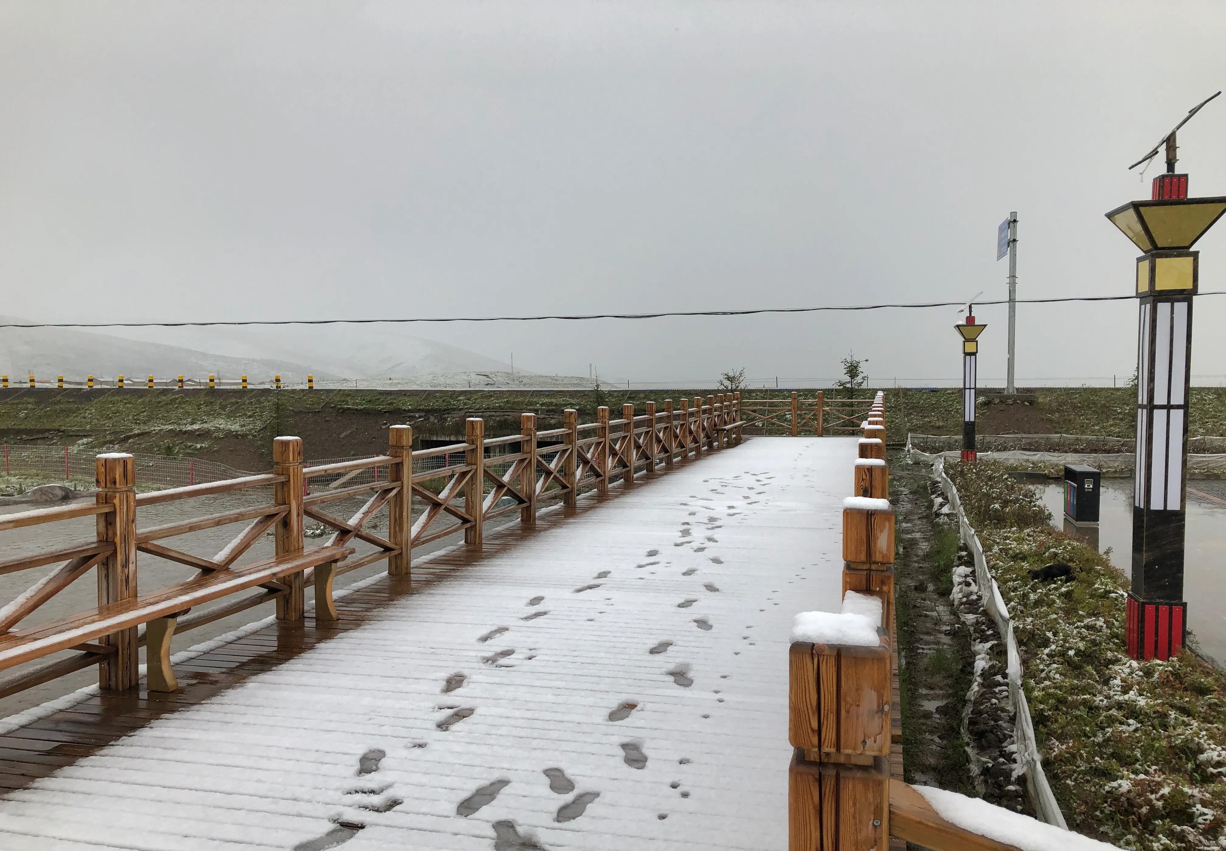 甘肃|罕见！甘肃8月份下雪了