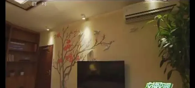 #粉色#国内外《交换空间》节目全翻车！这哪是什么家居设计改装节目！根本就是灾难现场！