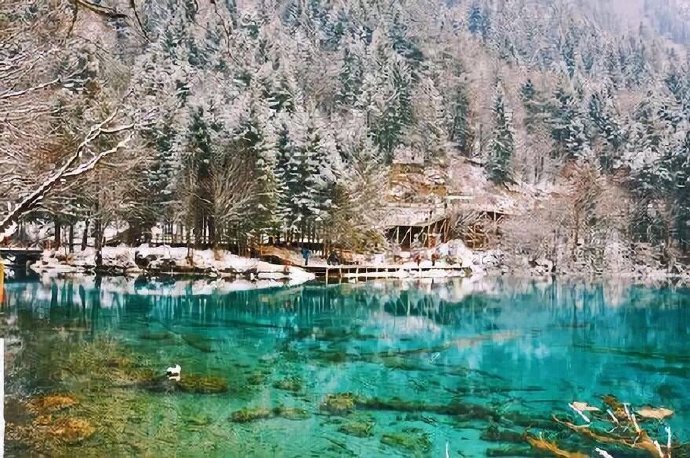 九寨沟|雪后的九寨沟，秋未尽，雪以至，白色与彩色辉映，真令人如痴如醉。