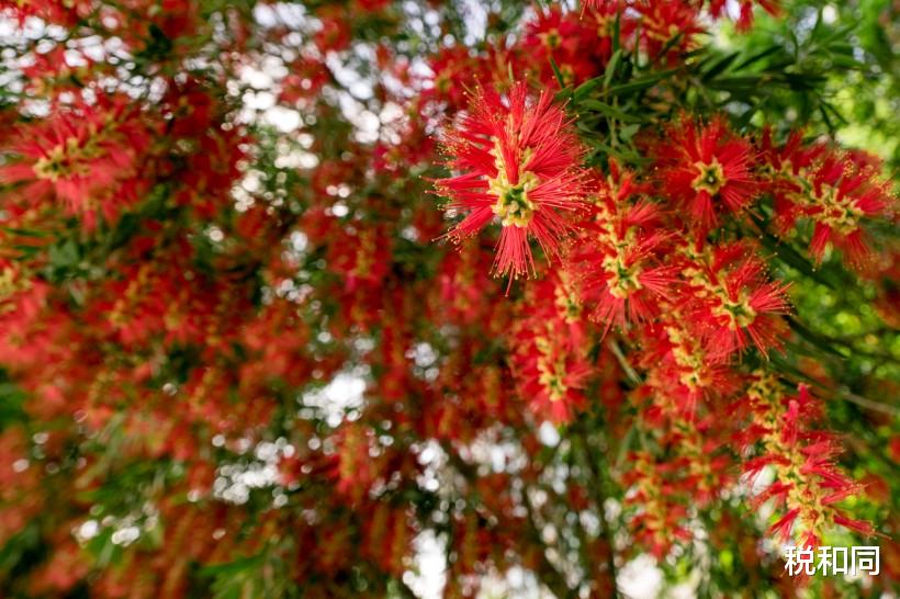 #生肖#7月8号大发利市的3生肖,富贵来,财神点名,生活水平节节高