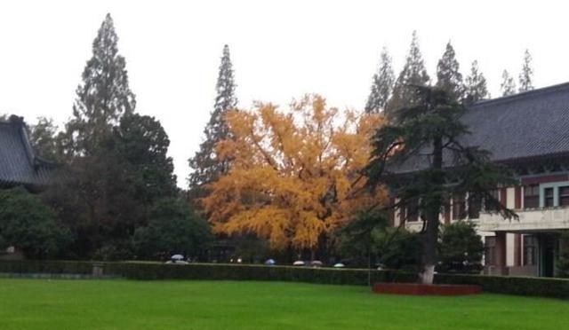 高校|我国“最好”的5所师范大学，就业口碑很好，考上前途不愁！