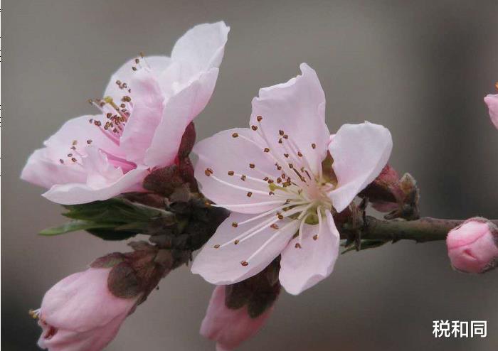 『生肖』6月28号,宏图大展,钱袋子鼓鼓的生肖,有意料之外的金钱收获