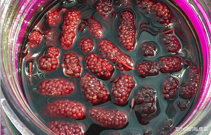 桑葚▲现在桑葚正新鲜，教你自制桑葚酒，多加这一步，口感好喝还滋补