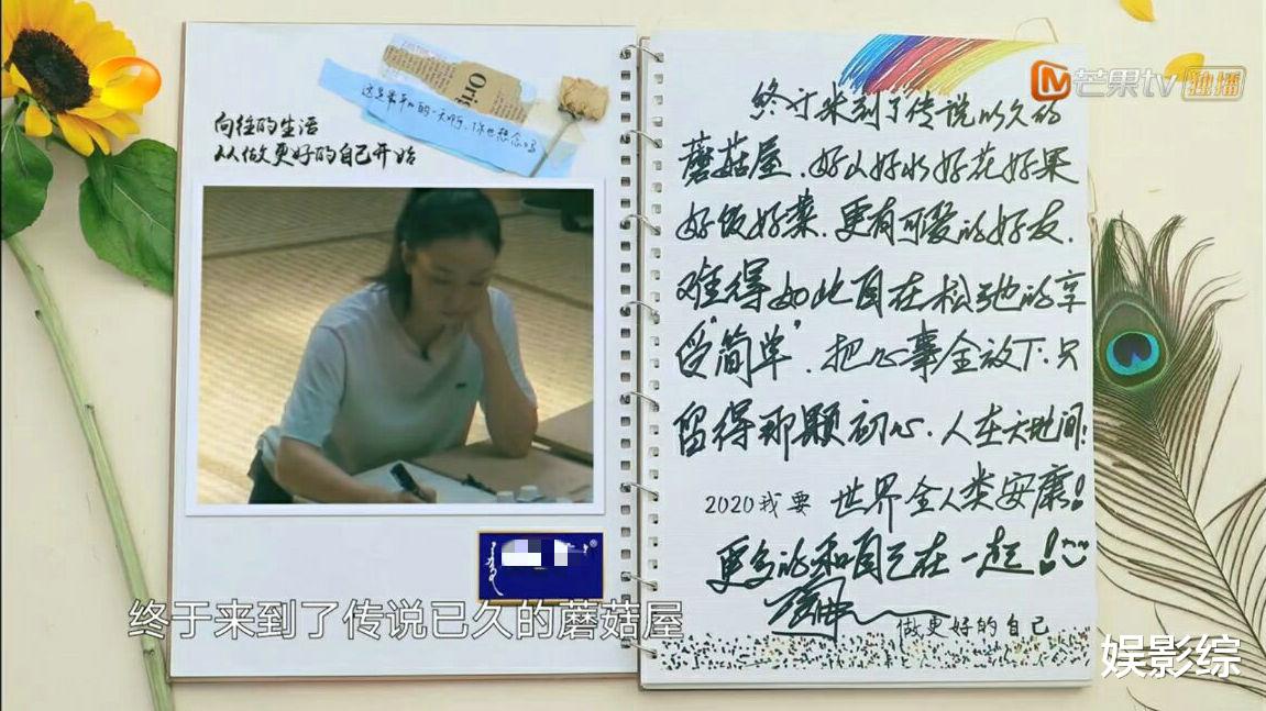 陶虹▲《向往的生活》暴露嘉宾字体，张婧仪字体工整，陶虹、周迅：字如其人