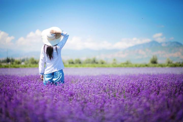 旅行|暑假旅行千万别来这9个地方，因为我怕你会不想回来！