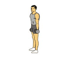 『哑铃』要塑形上半身？准备一对哑铃，6个动作刺激肌肉，2个月有效果