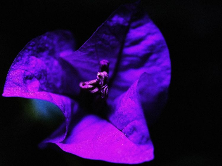 生肖|9月份开始，好运爆棚，吉事不断，生活如意的4大生肖！