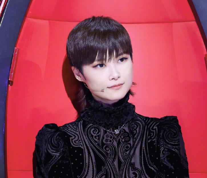 李宇春|《中国好声音》李宇春扛起收视率，谢霆锋抢人失败，李健狂飙成语